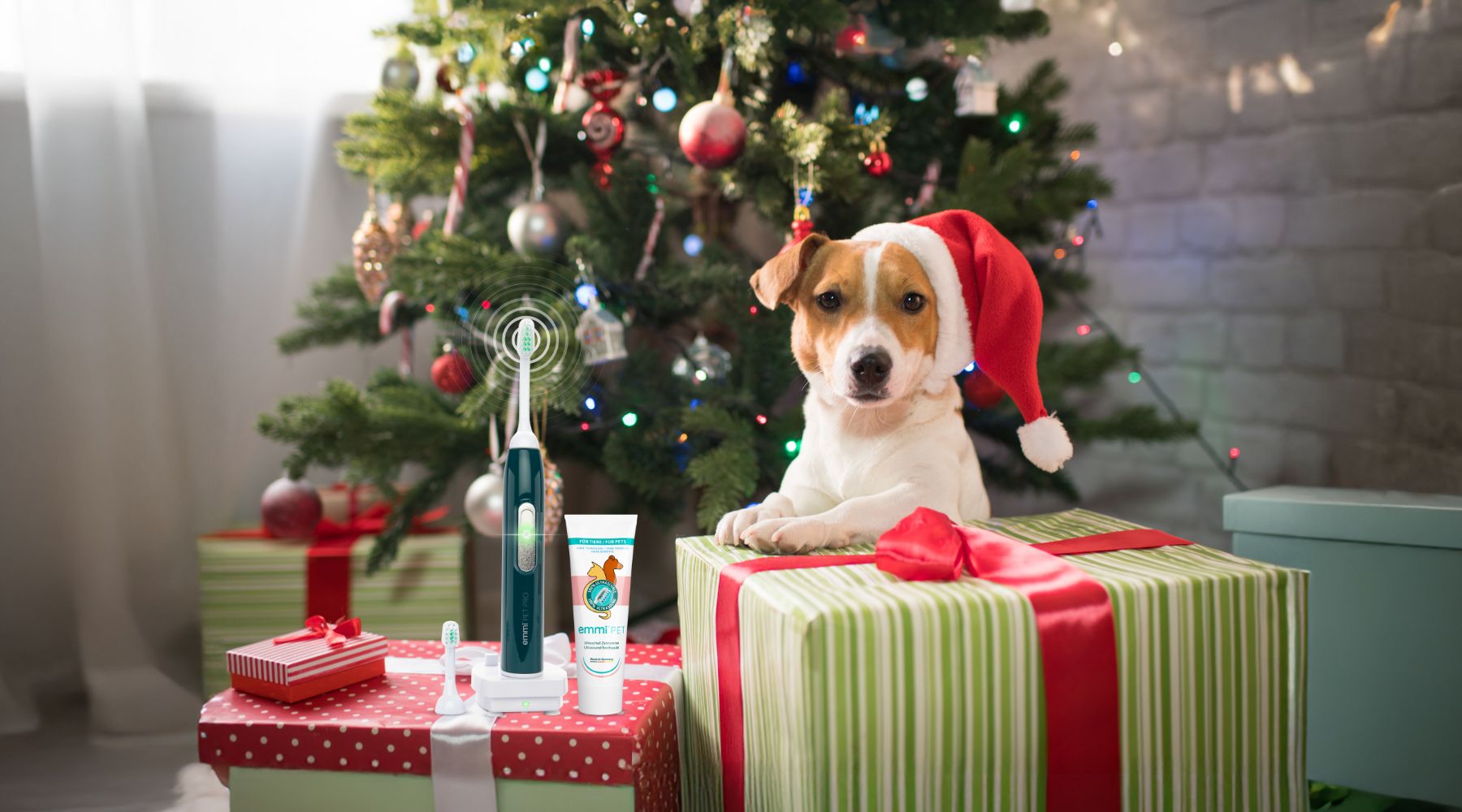 Weihnachtsgeschenke für Hunde – verrückt oder einfach liebevoll?