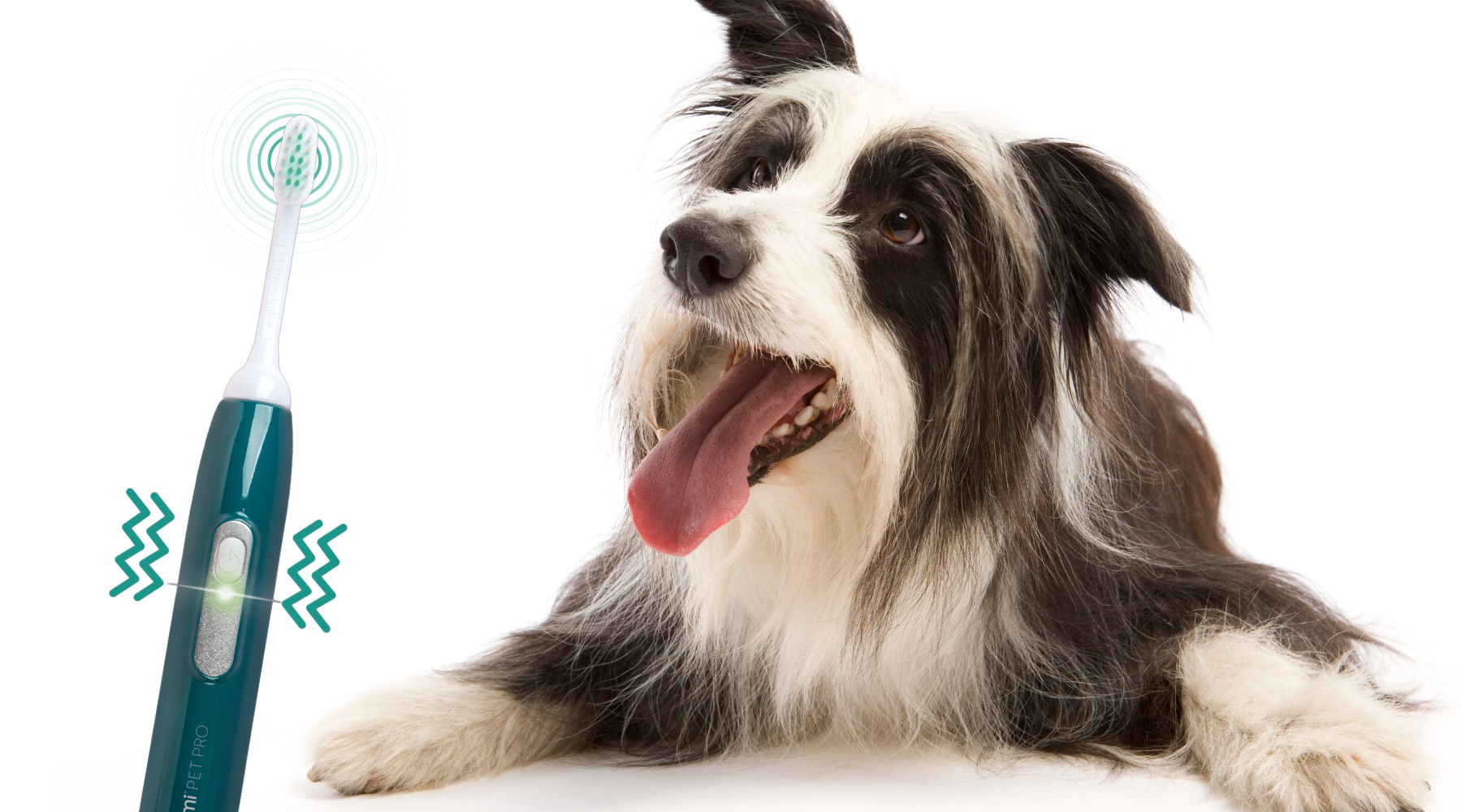 Hund lässt sich entspannt mit der emmi-pet PRO die Zähne reinigen