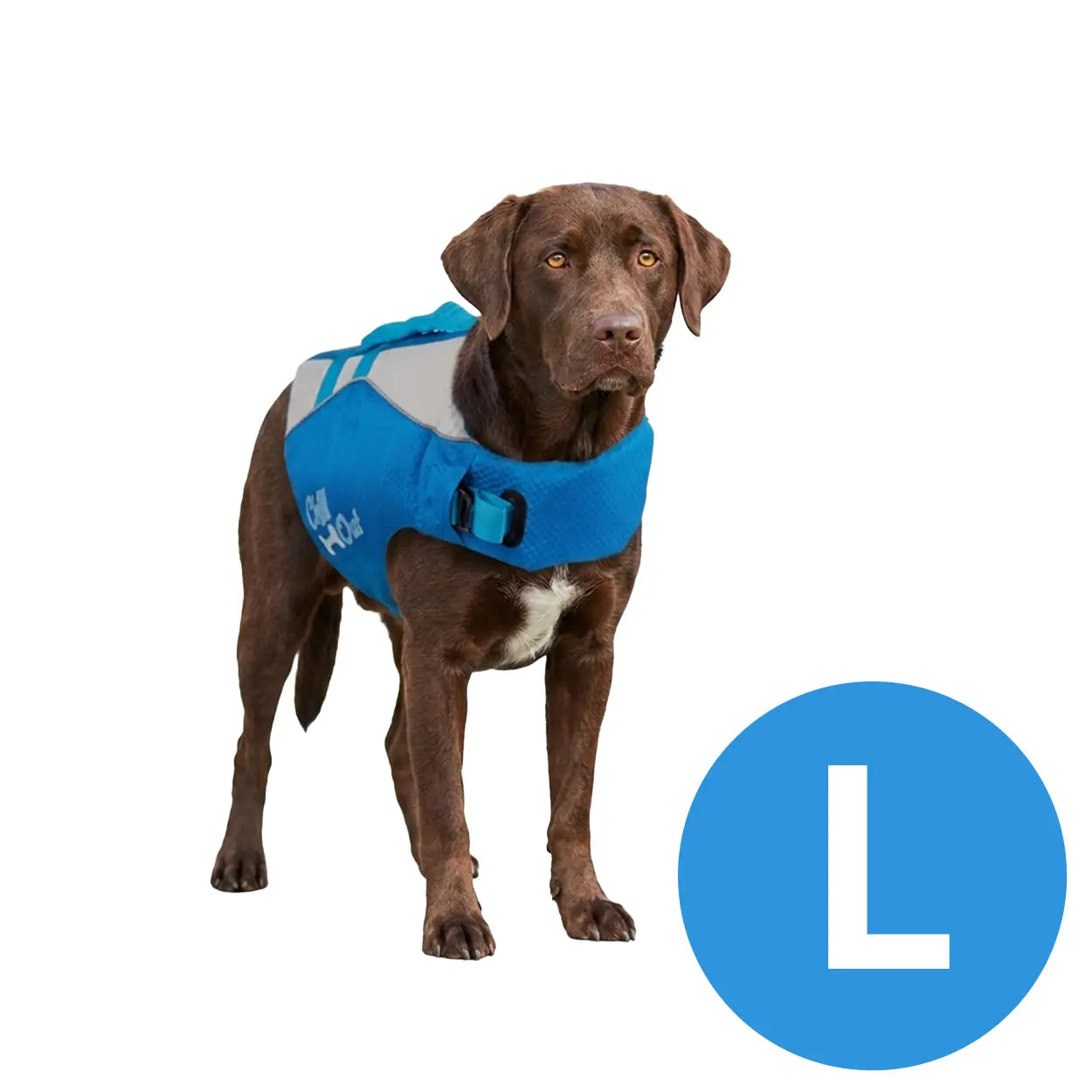 giubbotto salvagente per cani