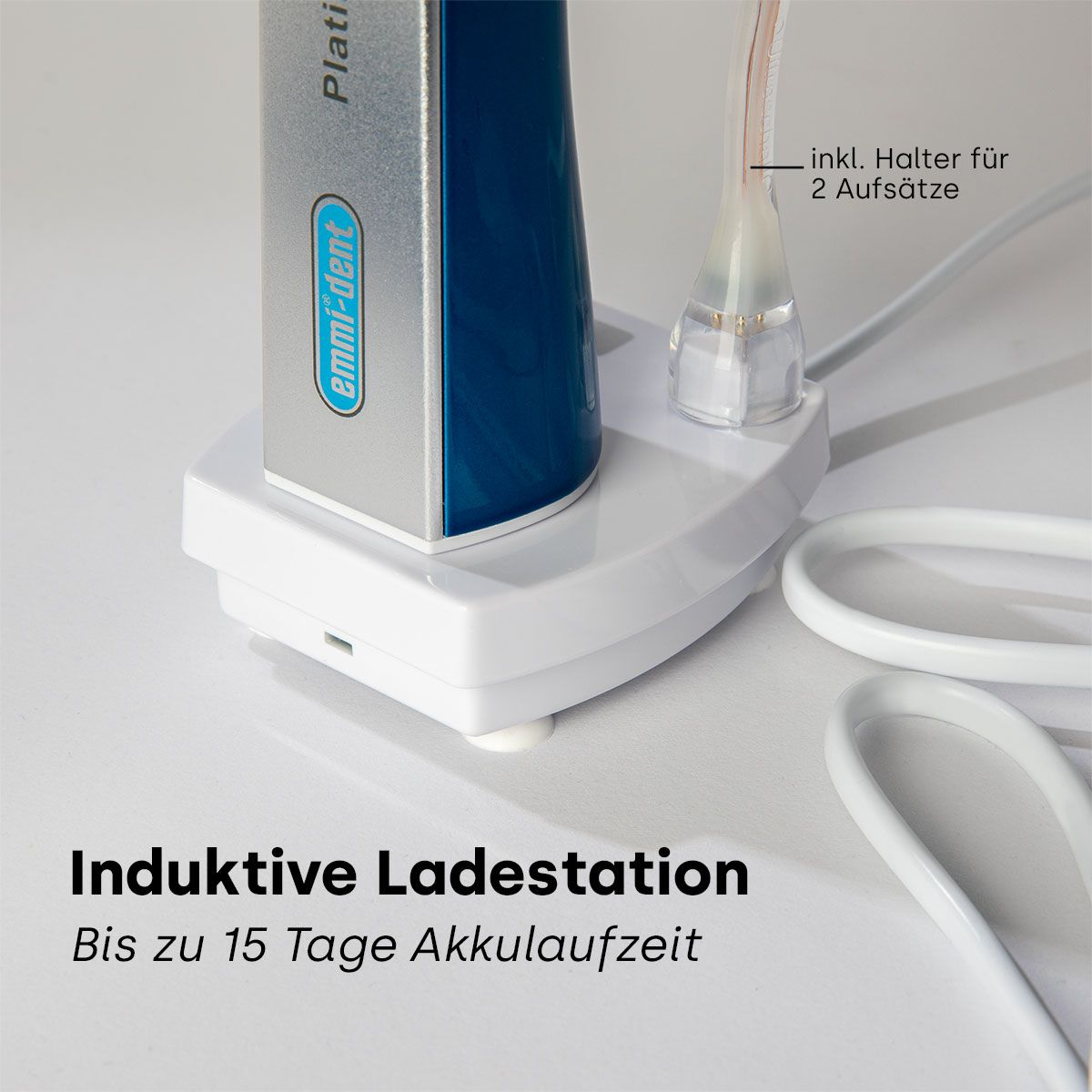 Ultraschallzahnbürste Platinum Nature Set