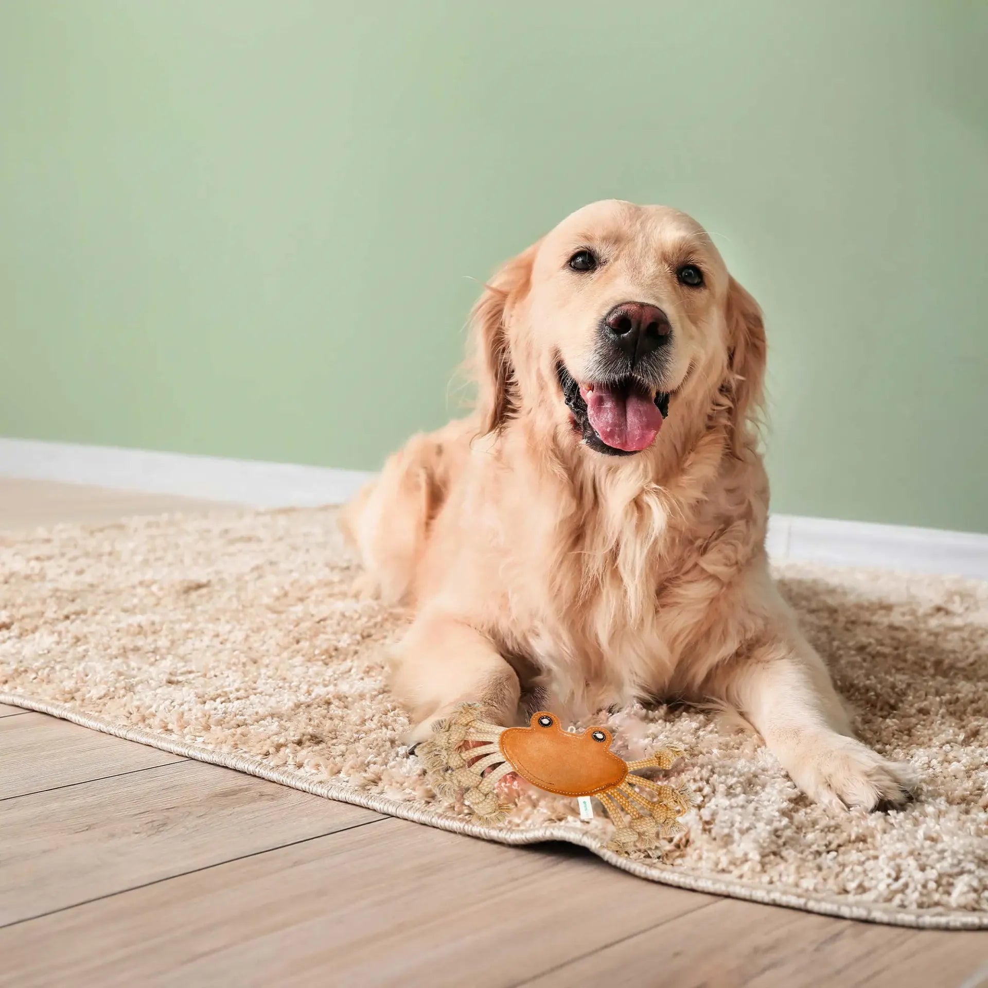 giocattolo da tiro granchio