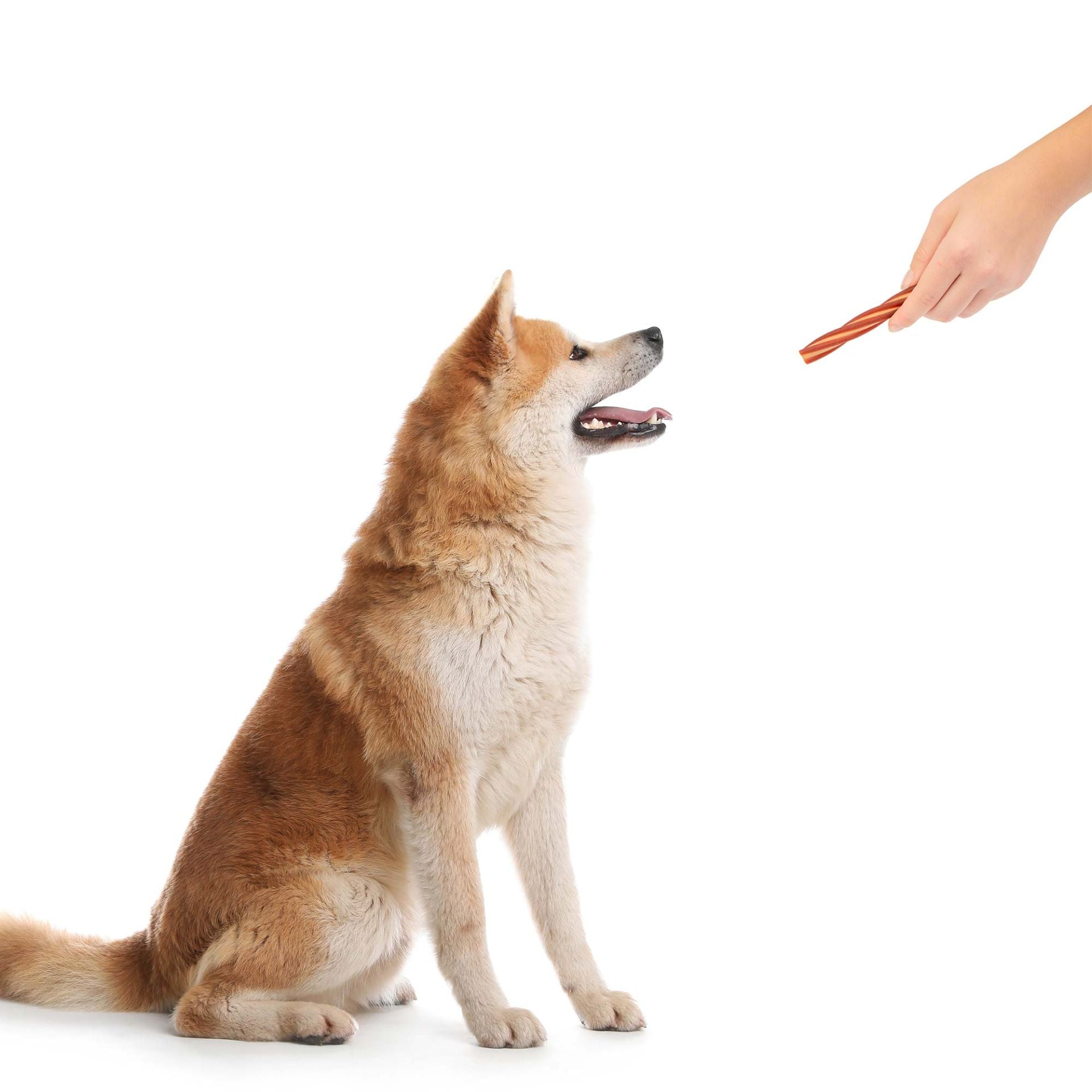 Bâtonnets dentaires « Polissoir à dents »