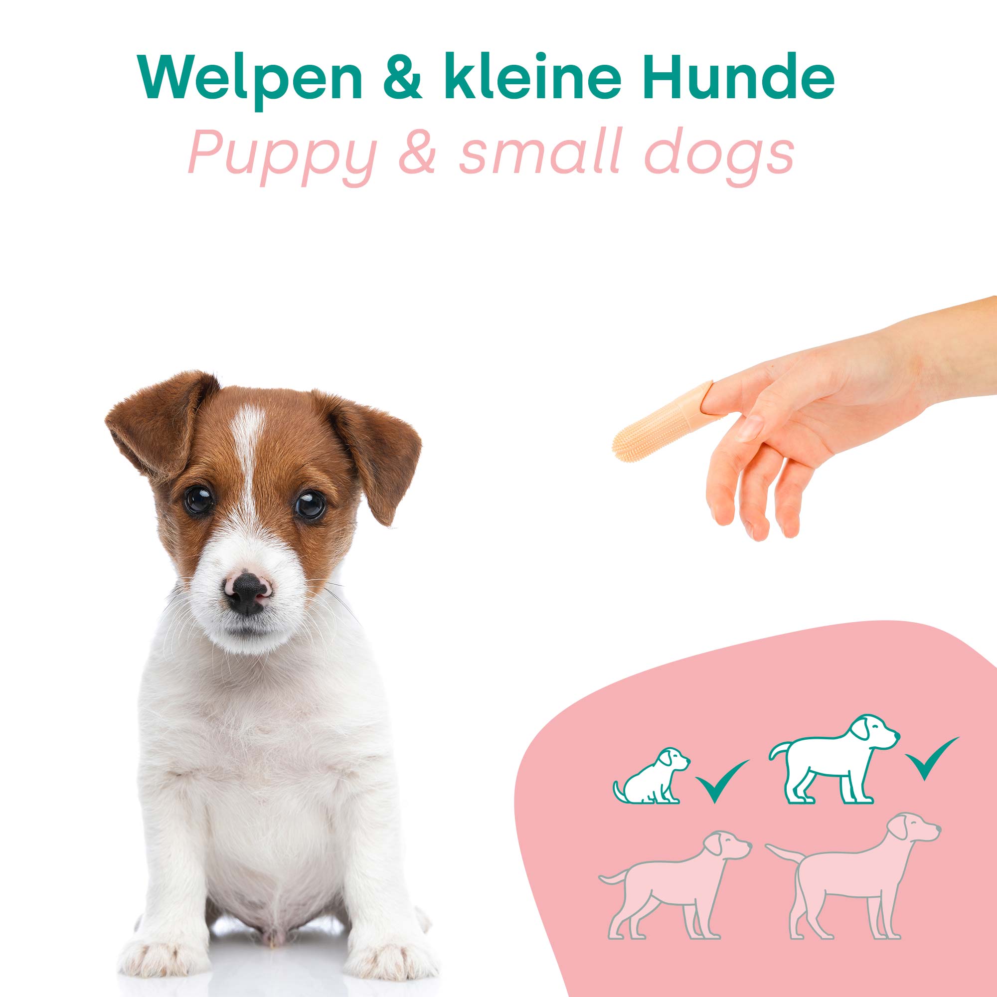 Ensemble pour chiot HappyDentalCare