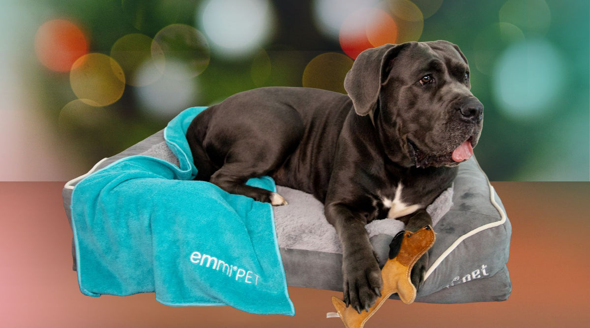Orthopedic dog bed from emmi-pet – the perfect Christmas gift for ...