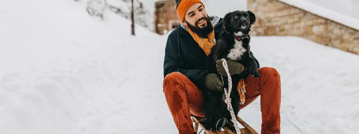 Hunde im Winter: 5 Tipps für die kalte Jahreszeit