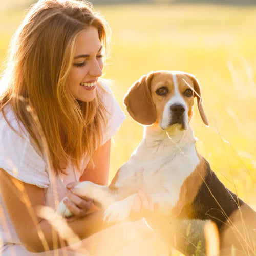 Wann Hundewelpen ihre Milchzähne verlieren: Alles, was du wissen musst