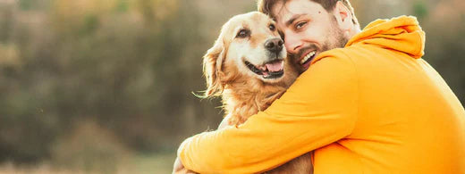 Hautprobleme durch Herbstgrasmilben beim Hund behandeln