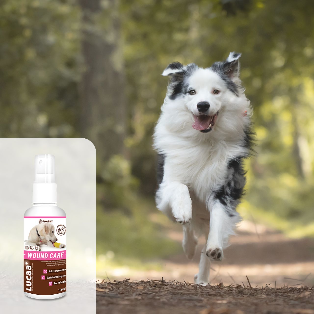 Lucaa+ Solución de limpieza de heridas para mascotas 100ml