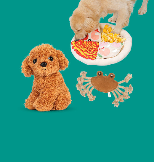 Dog toy