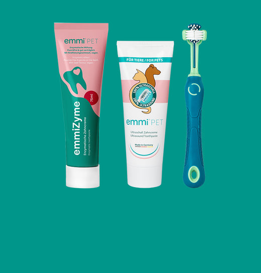 Dog Toothpaste