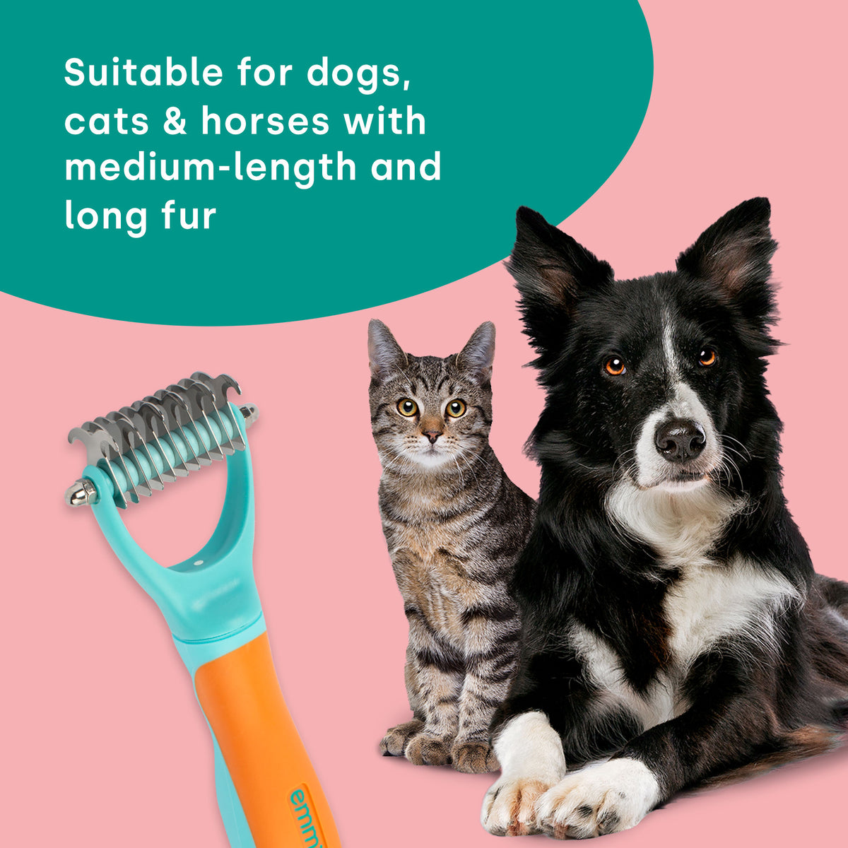 NEO Dental and Coat Care Set UK